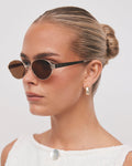 Evangelista - Gold-Brown 3